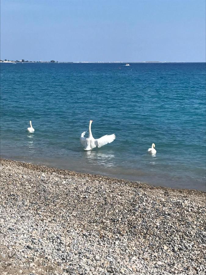 Hotel Bleu Riviera Cagnes-sur-Mer Buitenkant foto